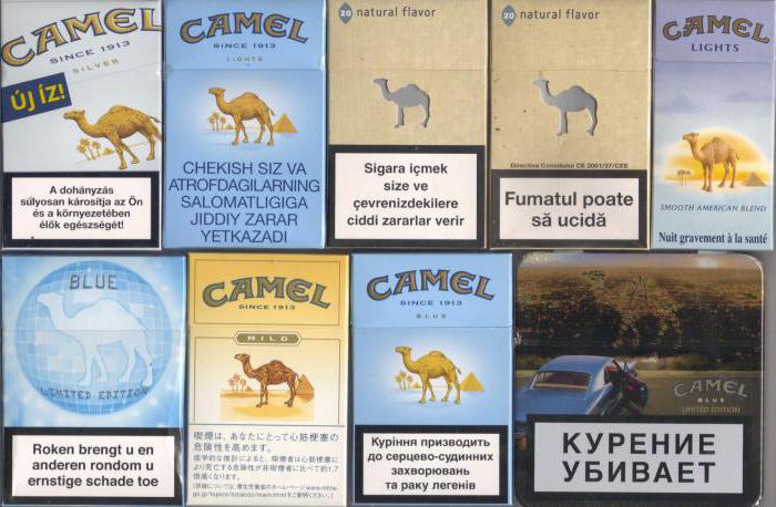 Recenzja Cigarette Camel