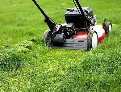 dekoracja wiejskiej działki własnymi rękami zdjęcie