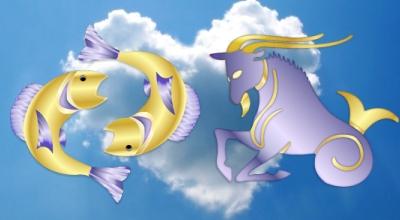 Zgodność horoskopów: Koziorożec-kobieta, samiec-ryba