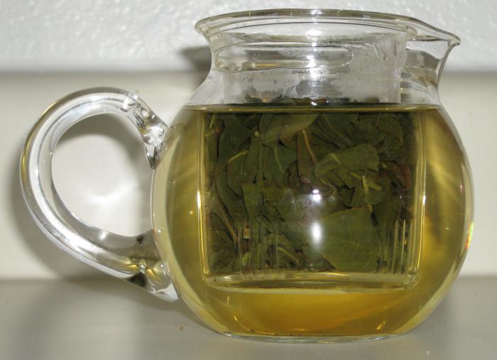 Zielona herbata oolong