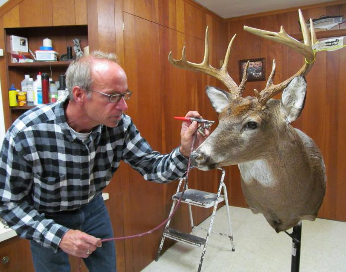 Taxidermist jest specjalistą w egzotycznym zawodzie