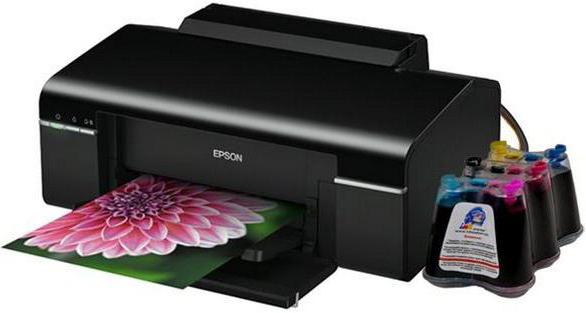 EPSON Stylus Photo P50: drukarka fotograficzna o doskonałej jakości druku