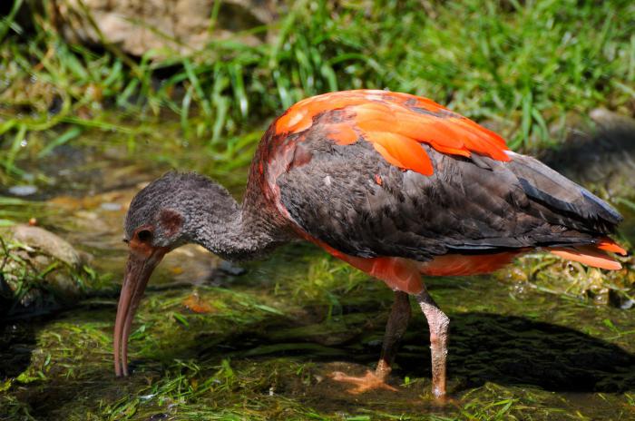 tereny szczególnie chronionych terytoriów naturalnych