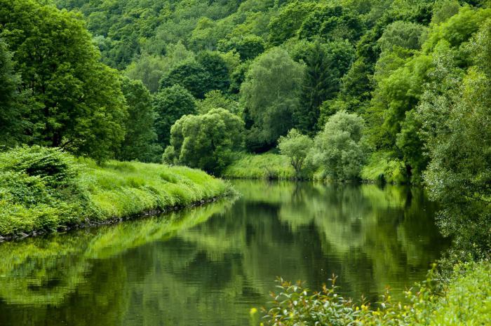 Naturalne strefy Niemiec i ich główne cechy 