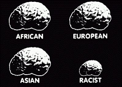 niebezpieczeństwo rasizmu