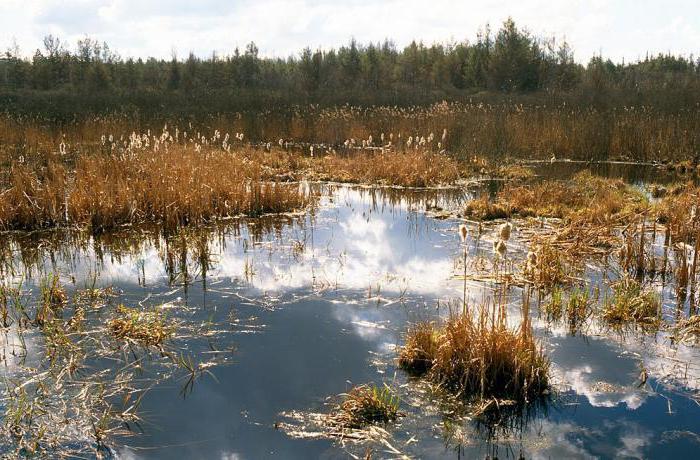 wędkowanie w rzece luh