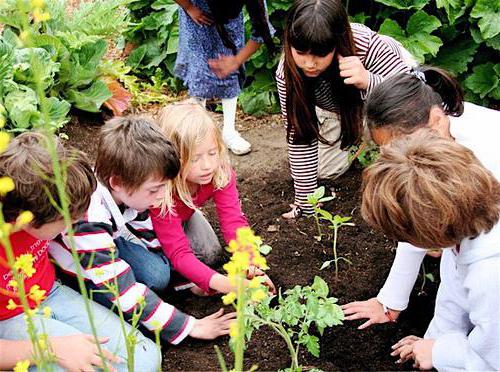 komponent regionalny w programie edukacyjnym szkoły FGS