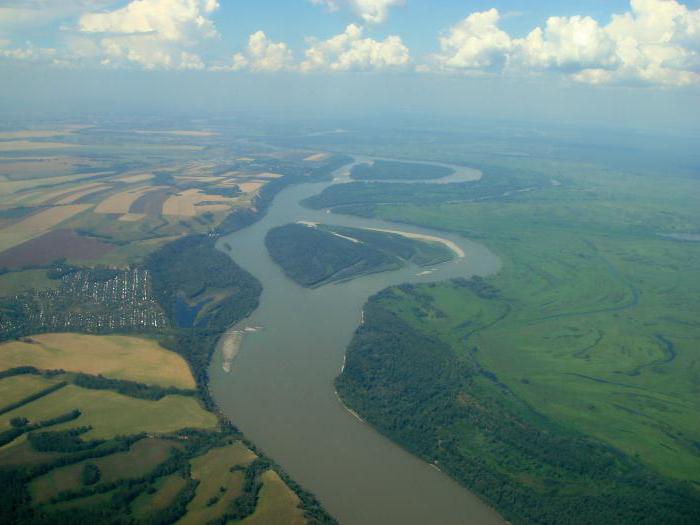 zwierzęta i rośliny rzeczne