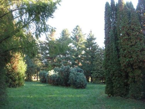 Ogród botaniczny w Niżnym Nowogrodzie