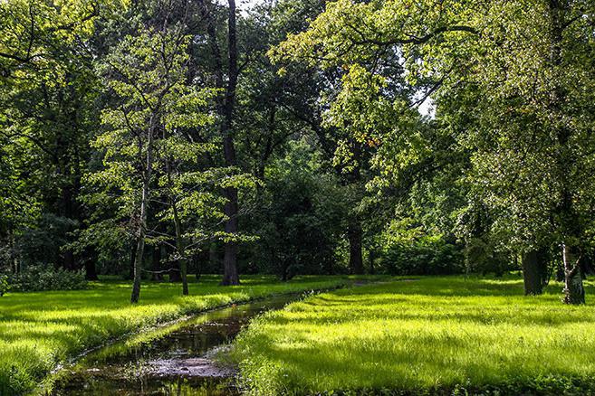 Ogród botaniczny w Petersburgu