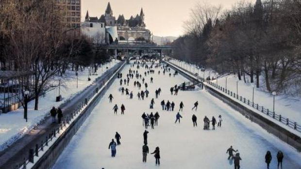 Toronto przyciąga obszar zakupów 