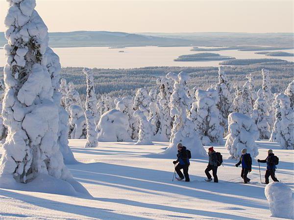 Wakacje w Finlandii w zimie