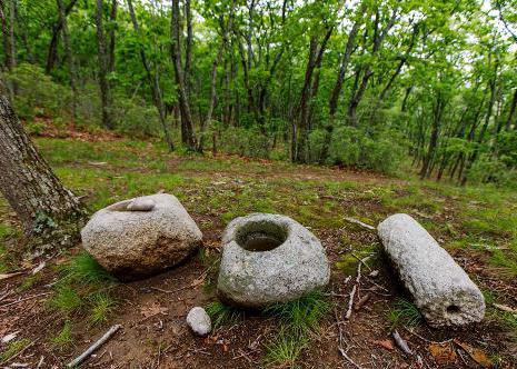 Petrova Island Primorsky Krai Excursions 