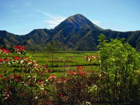 Recenzje bali