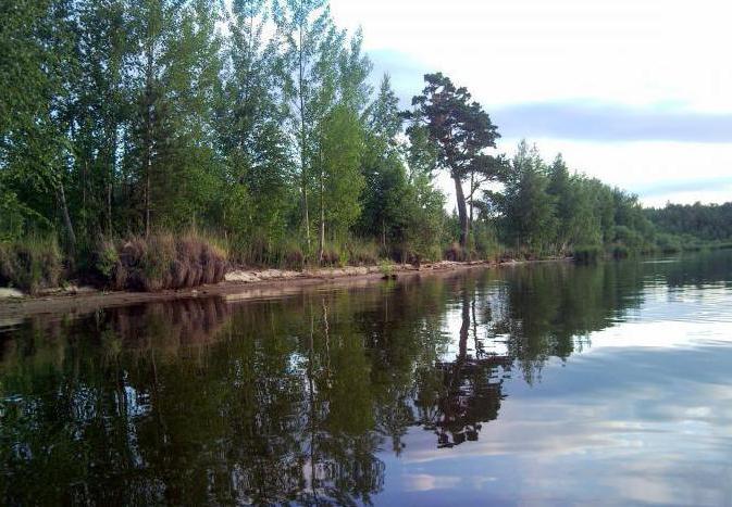 Jezioro Shitovskoe Sverdlovsk Region 