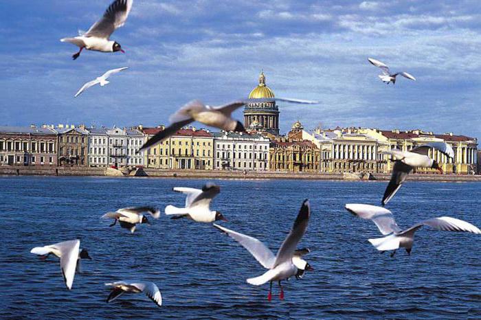 rejsy rzeczne z Petersburga w Rosji z powrotem do Petersburga 