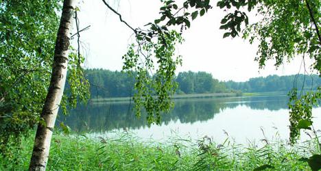 Wakacje w Senezhskoe Lake